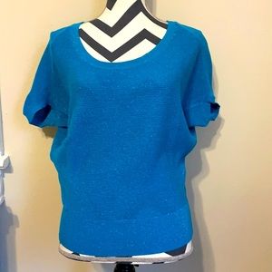 Express Dolman Metallic Sweater